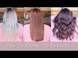 Blonde to brown hair using a filling technique