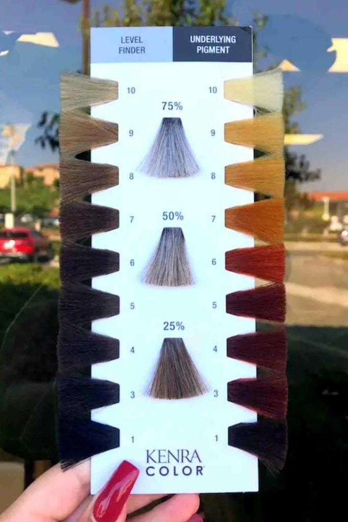 underlying pigment chart and level finder