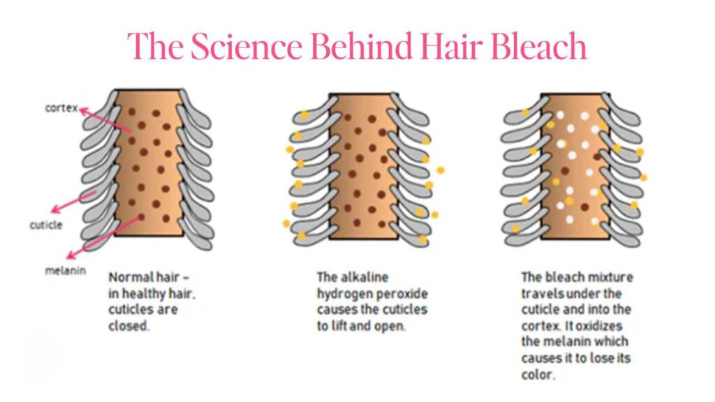 The science behind hair bleach and how it works